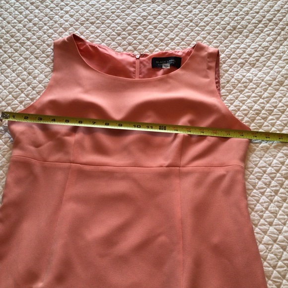 Black Label Evan-Picone Sleeveless Peach Sheath Dress - Picture 10 of 12